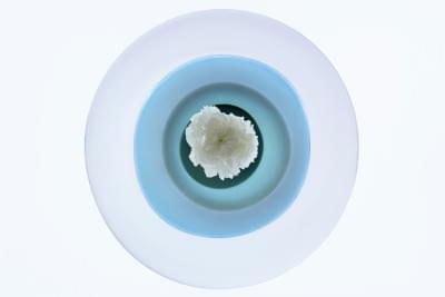 Transparences éphémères - Oeillet.jpg